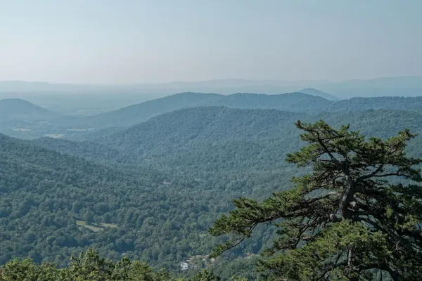 Harrisonburg VA Real Estate: A Local's Guide to Life in the Shenandoah Valley