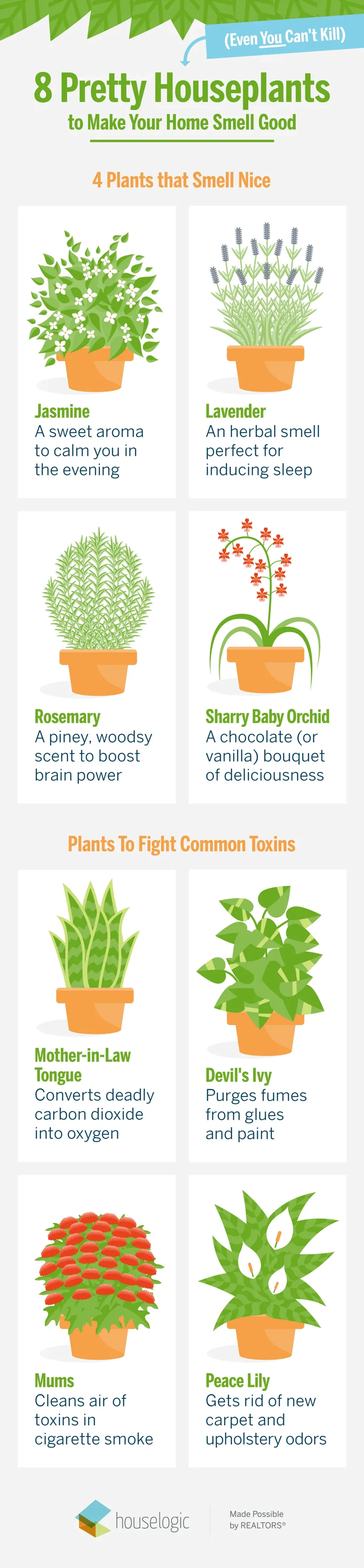 Stage and Neutralize Odor's With These Plants!